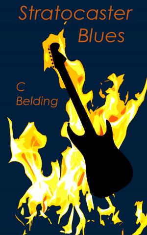 Book cover of Stratocaster Blues