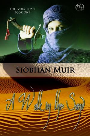 Cover of the book The Ivory Road: A Walk in the Sand by Siobhan Muir