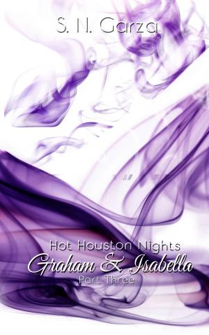 Cover of Hot Houston Nights: Graham & Isabella PART 3