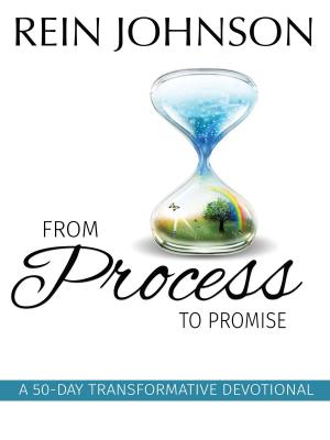 Book cover of From Process To Promise: A 50 Day Transformative Devotional