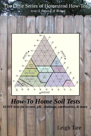 Cover of the book How-To Home Soil Tests: 10 DIY Tests For Texture, pH, Drainage, Earthworms & More by Kerry Beck