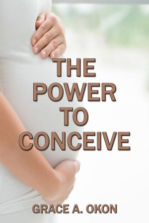 Cover of the book The Power to Conceive by JR Strange, Max Strange