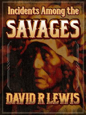 Cover of the book Incidents Among the Savages by David Lewis