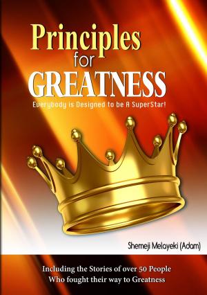 bigCover of the book Principles for Greatness: Everybody is designed to be a superstar by 