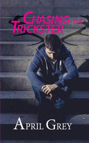 Book cover of Chasing the Trickster
