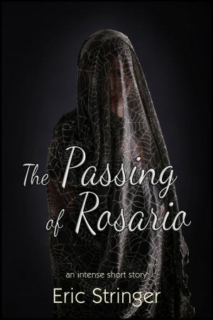 Cover of the book The Passing of Rosario by Casey Harvey
