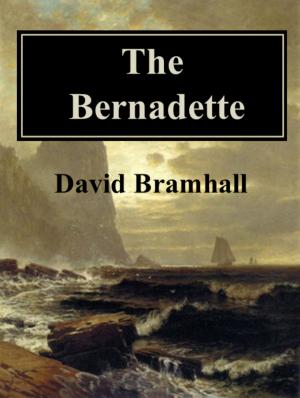 Book cover of The Bernadette