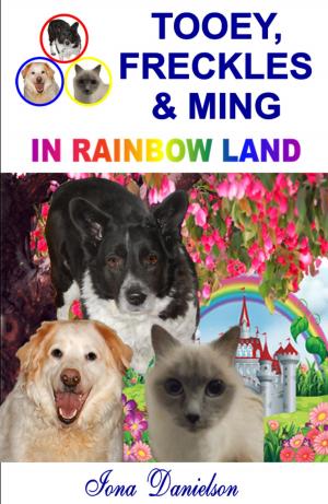 Cover of the book Tooey, Freckles & Ming In Rainbow Land by Grit Poppe