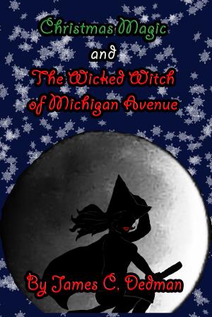 Book cover of Christmas Magic and the Wicked Witch of Michigan Avenue