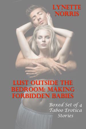 Cover of Lust Outside The Bedroom: Making Forbidden Babies (Boxed Set of 4 Taboo Erotica Stories)