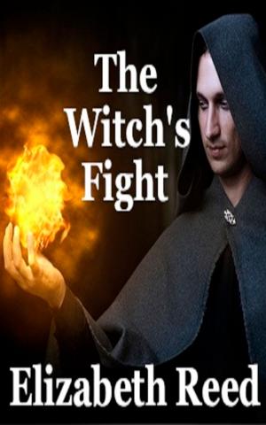 Book cover of The Witch's Fight