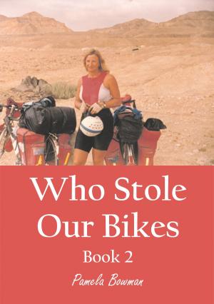 Book cover of Who Stole Our Bikes Book 2