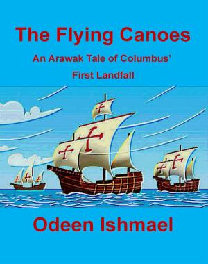 bigCover of the book The Flying Canoes by 