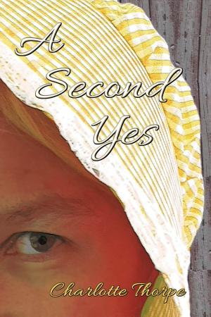 Cover of the book A Second Yes by Amanda Hamm
