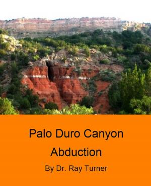 Book cover of Palo Duro Canyon Abduction