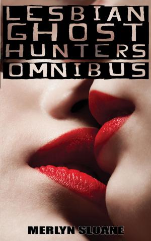 Book cover of Lesbian Ghost Hunters Omnibus