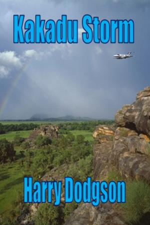 Cover of the book Kakadu Storm by Alexandra Richland