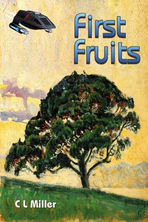 Cover of the book First Fruits by A.E. Hellstorm
