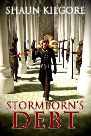 Cover of the book Stormborn's Debt by Brett Sheldon, Shaun Kilgore