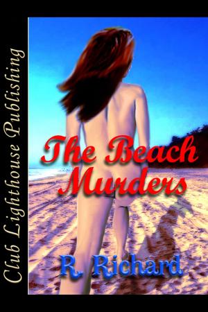 Book cover of Beach Murders