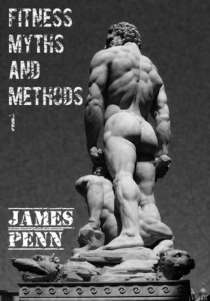 Cover of the book Fitness Myths and Methods Part 1 by Jad Haeffely