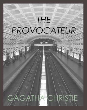 Cover of the book The Provocateur by Sue Hart