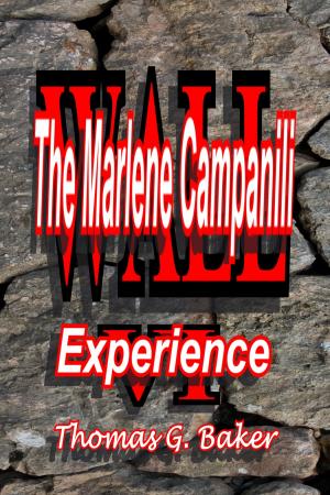 Book cover of Wall VI The Marlene Campanili Experience
