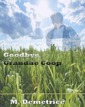 Book cover of Goodbye Grandae Coop