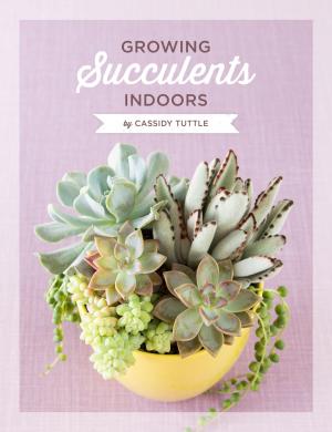 Book cover of Growing Succulents Indoors