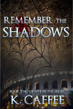 Cover of the book Remember the Shadows by Marti Gruter