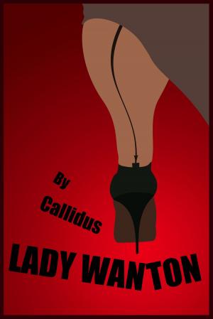 Book cover of Lady Wanton
