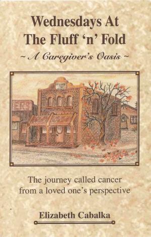 Book cover of Wednesdays At The Fluff 'n' Fold: A Caregiver's Oasis