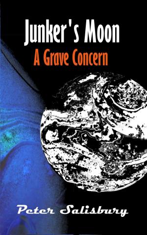 Book cover of Junker's Moon: A Grave Concern