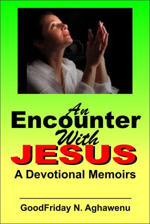 Book cover of An Encounter With Jesus A Devotional Memoirs