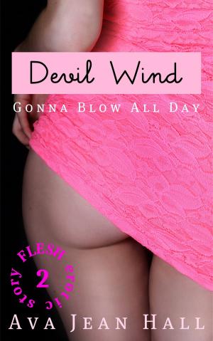 Cover of the book Devil Wind: Gonna Blow All Day by S.F. Riley