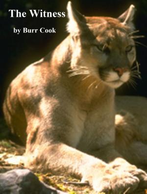 Cover of the book The Witness by Burr Cook