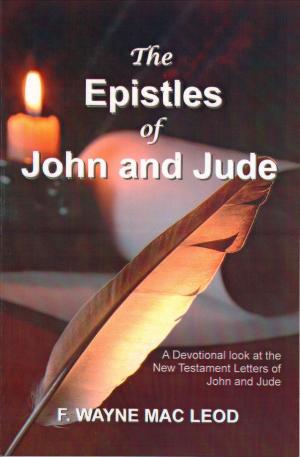 Book cover of The Epistles of John and Jude