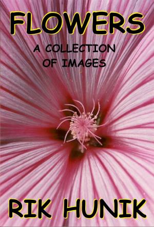 Cover of the book Flowers A Collection Of Images by Rik Hunik