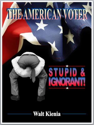 Cover of the book The American Voter: Stupid and Ignorant by Bob Black, Jason McQuinn