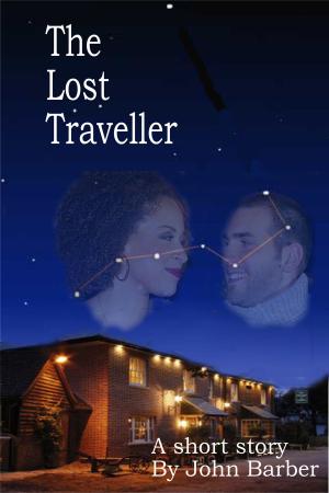 Book cover of The Lost Traveller