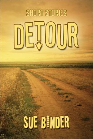Book cover of Detour