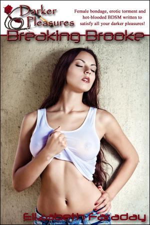Cover of the book Breaking Brooke by D. Musgrave