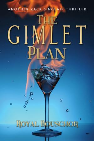 Cover of the book The Gimlet Plan by Lavina Giamusso