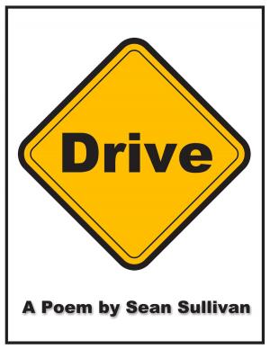 Cover of the book Drive by Kathy Sue Widdows Adams