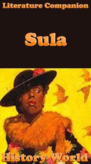 Cover of the book Literature Companion: Sula by Ramachandran Ananthakrishnan