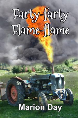 Book cover of Farty-farty Flame-flame