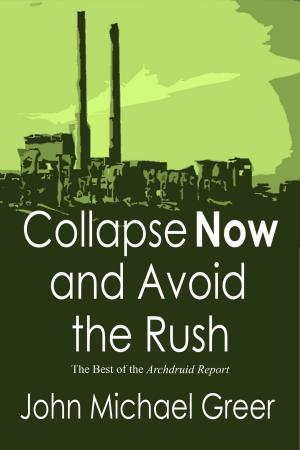 Cover of the book Collapse Now and Avoid the Rush: The Best of the Archdruid Report by John Michael Greer