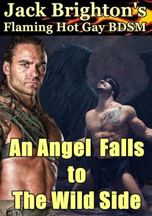 Cover of the book An Angel Falls to The Wild Side by J. K. Brighton