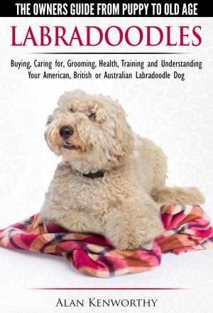 Cover of Labradoodles: The Owners Guide from Puppy to Old Age for Your American, British or Australian Labradoodle Dog