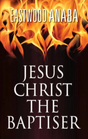 Cover of the book Jesus Christ The Baptiser by Verna Hargrove